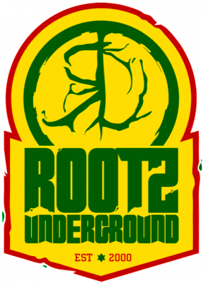 Entretien avec Rootz Underground