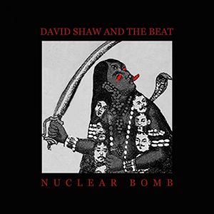 David Shaw and The Beat