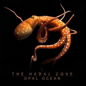 Opal Ocean : grosse tournée en France pour cet été