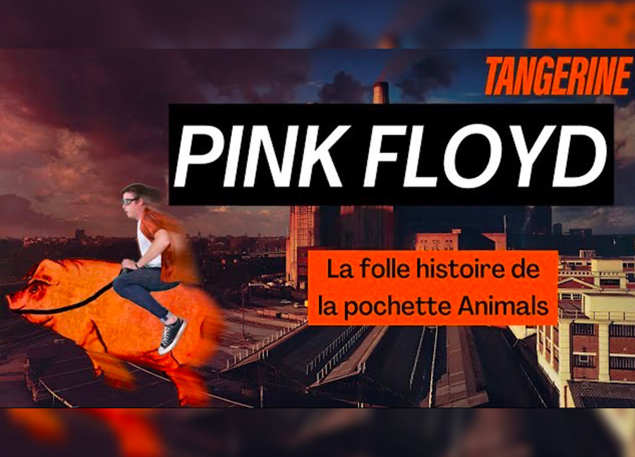 PINK FLOYD : La folle histoire de la pochette d’Animals | TANGERINE ...