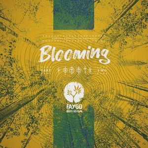 Faygo – la trilogie Blooming