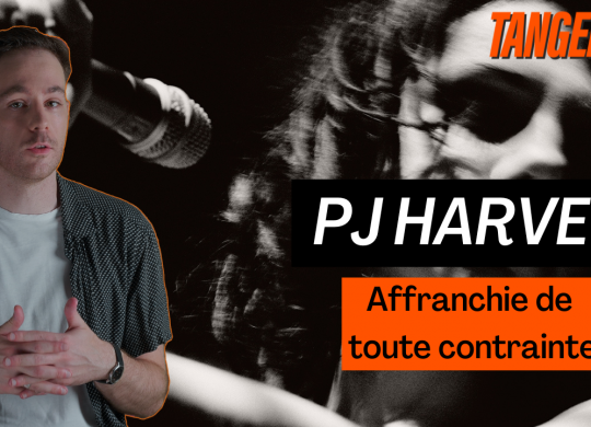 Miniature PJ Harvey-2