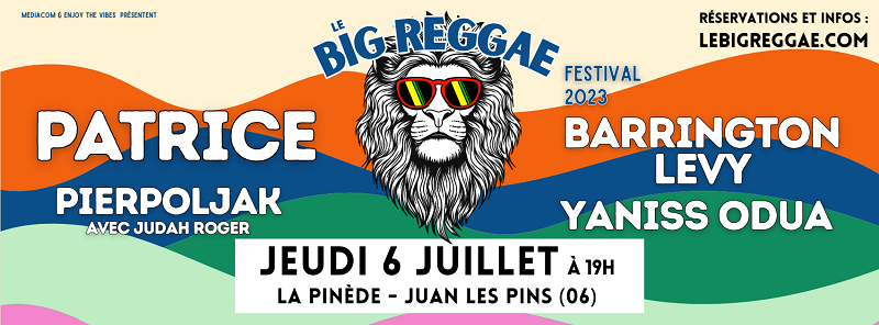Le Big Reggae Festival - Programmation