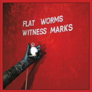 flat worms