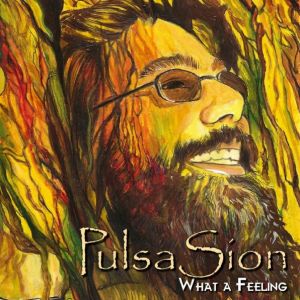 PulsaSion – what a Feeling