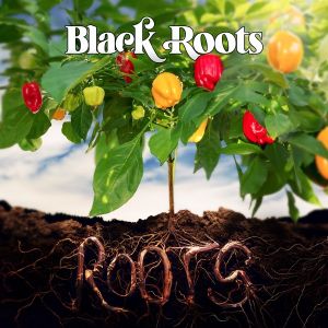 Black Roots « Roots », titre le plus roots de l’album Roots